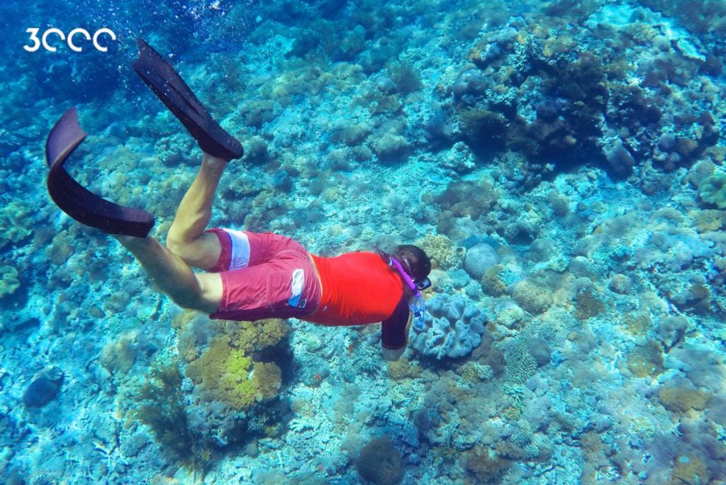 snorkeling in Bali