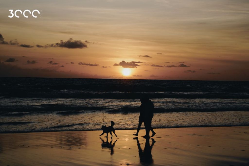 The Beauty of Sunset in Batu Belig
